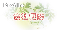 会社概要